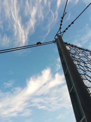 FOTOS WEB_IMG_20221222_085730